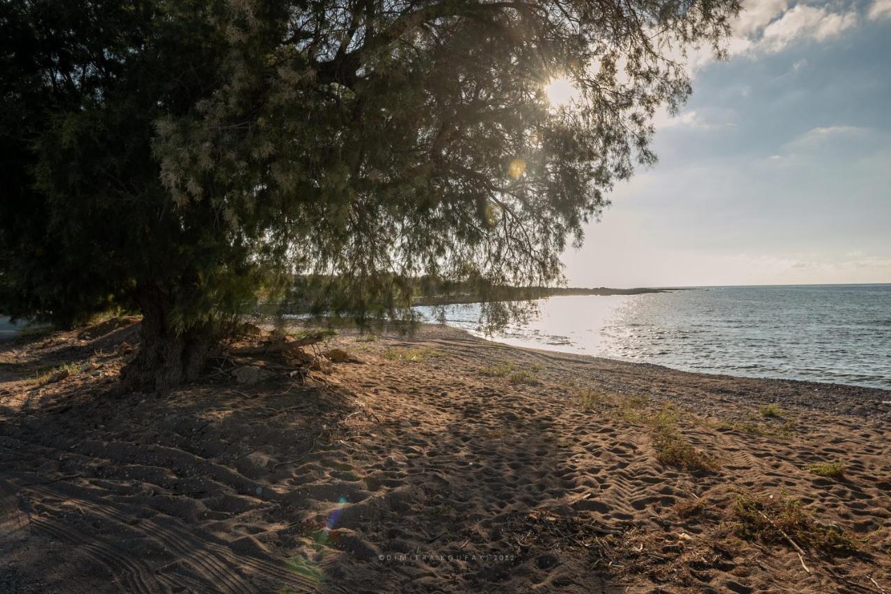 Alexandros Luxury House Hébergement de vacances